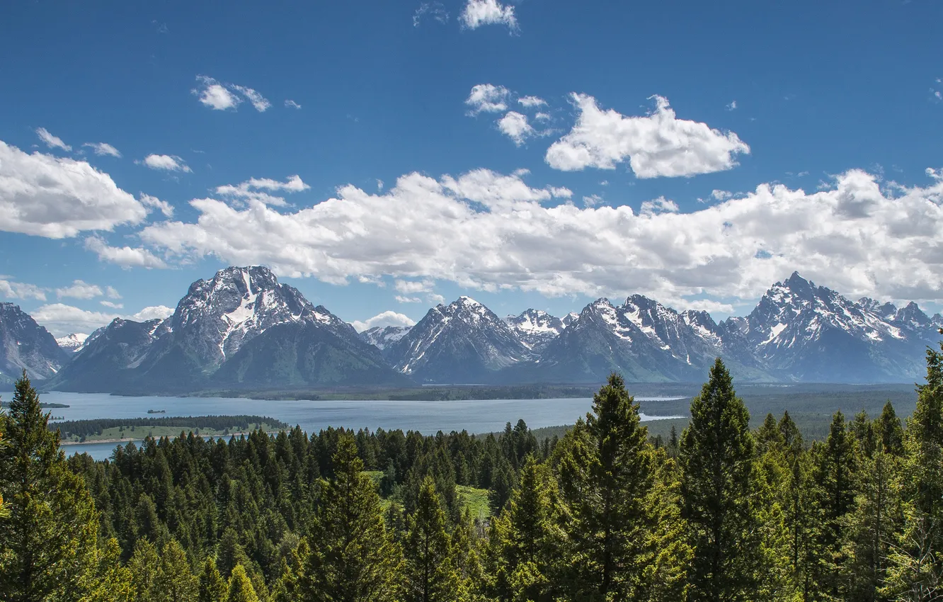 Photo wallpaper forest, the sky, clouds, snow, mountains, fog, blue, shore