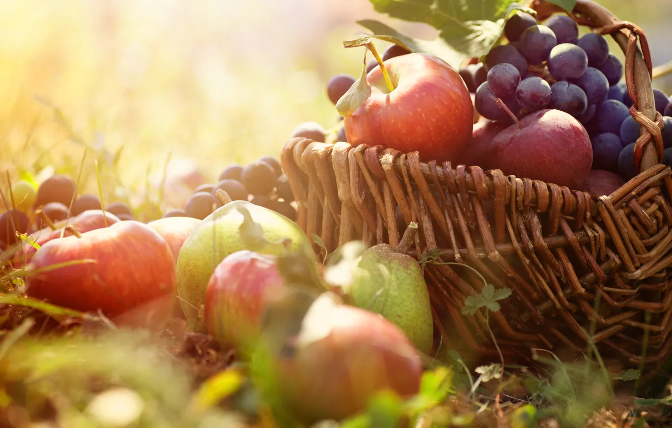 Photo wallpaper grass, basket, apples, grapes