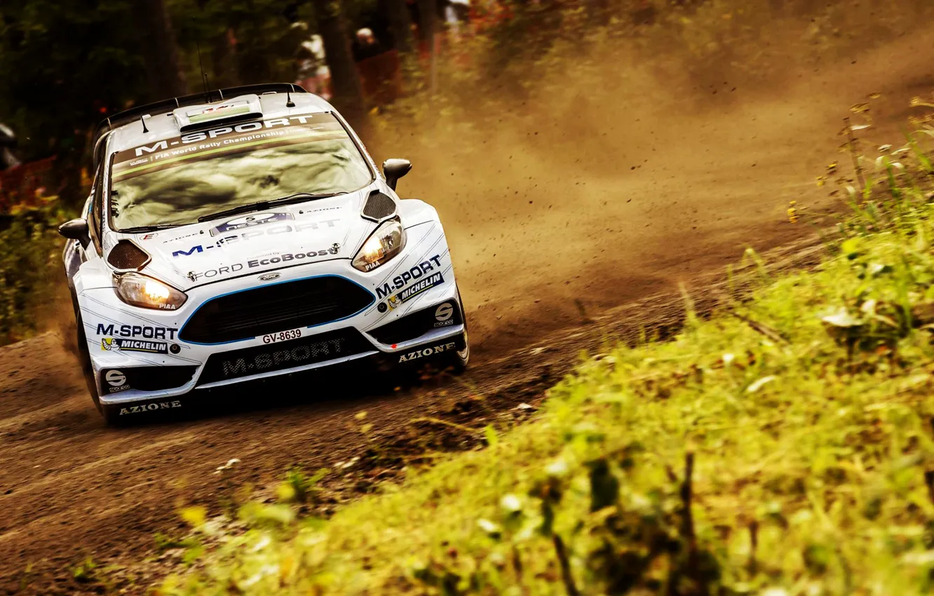 Photo wallpaper Ford, Forest, Ford, Skid, WRC, Rally, Rally, Fiesta