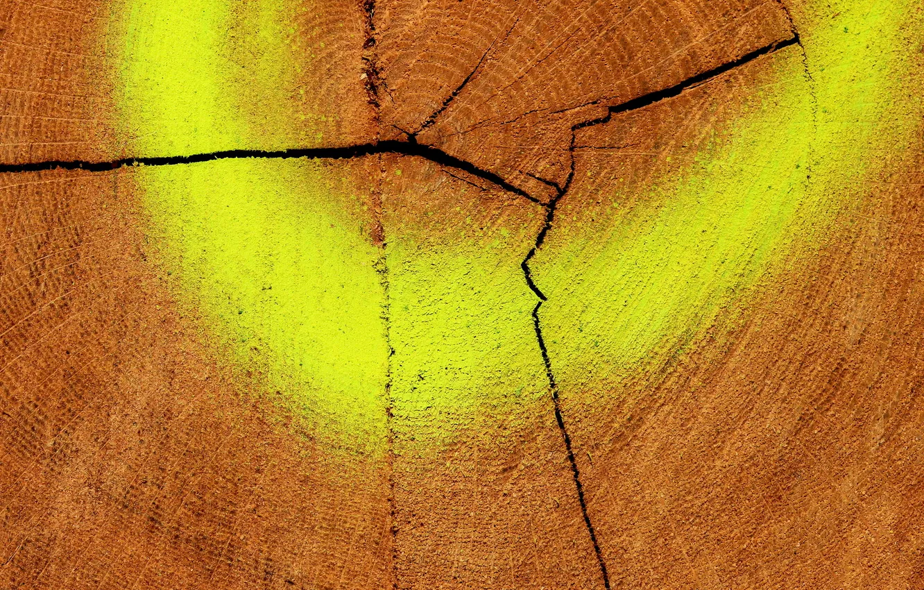 Photo wallpaper trees, background, paint