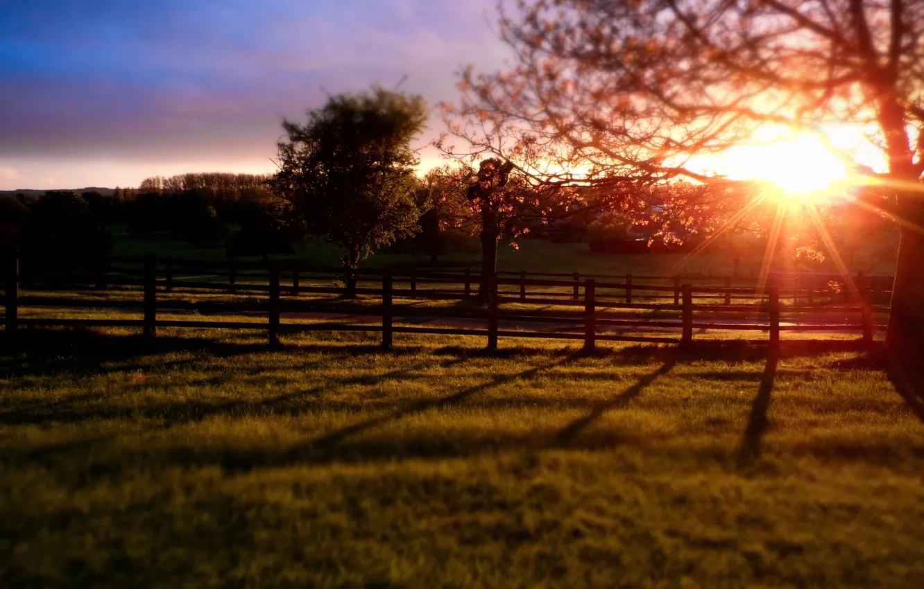 Photo wallpaper the sky, the sun, sunset, nature