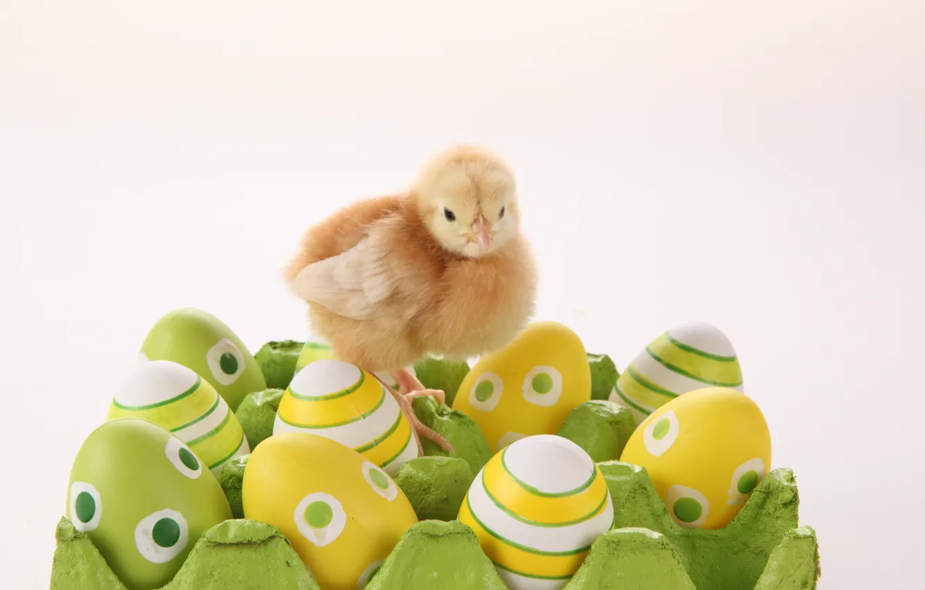 Photo wallpaper chickens, eggs, Easter, Easter