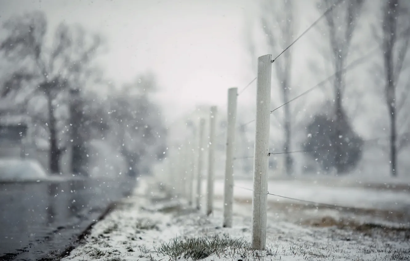 Photo wallpaper road, snow, the fence, last farewell