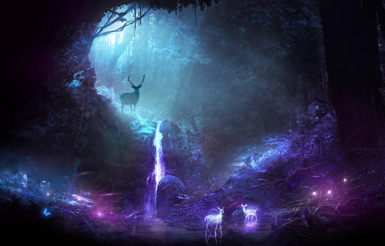 Photo wallpaper forest, light, trees, night, deer, art, horns