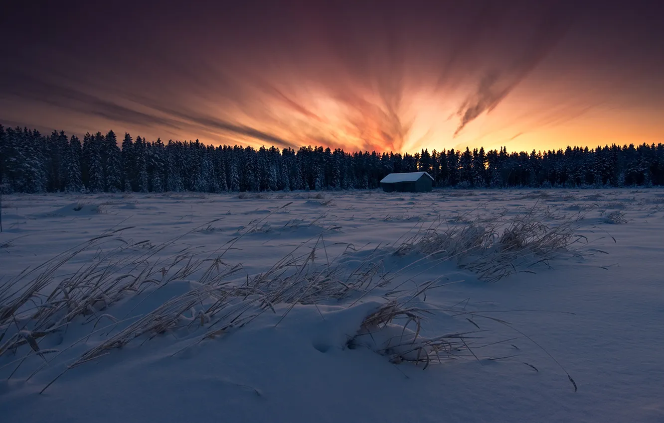 Photo wallpaper winter, field, forest, the sky, snow, sunset, Fiery Sky