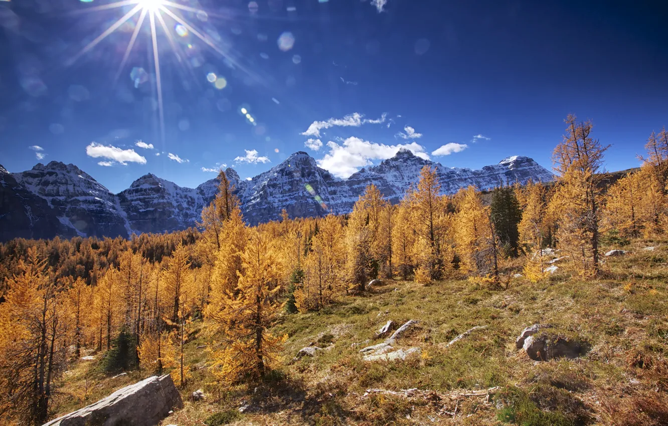 Photo wallpaper autumn, trees, mountains, stones, Canada, Albert, Banff National Park