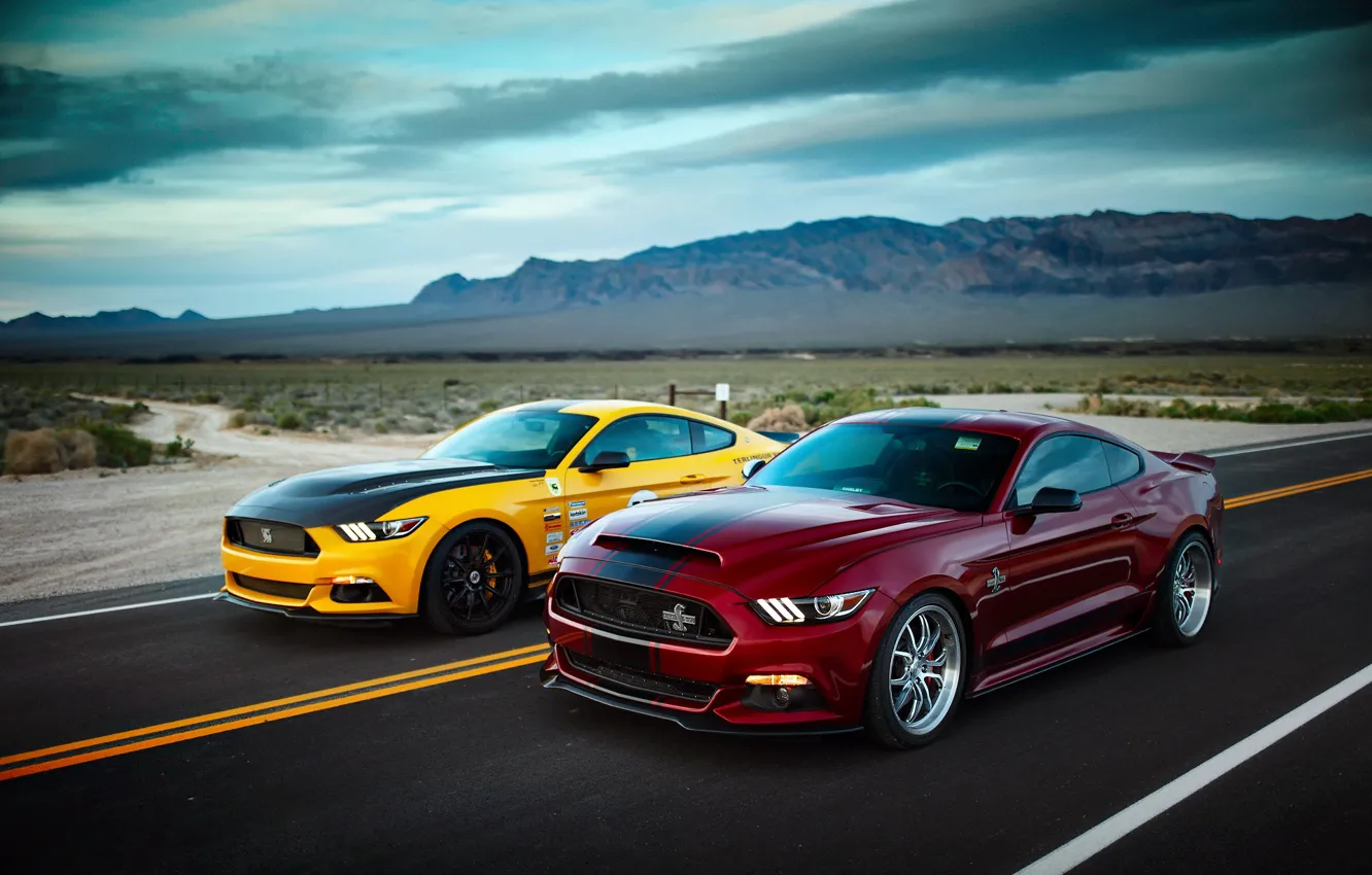 Photo wallpaper road, Ford, wild West, Mustang GT, Shelby Terlingua, Shelby Super Snake