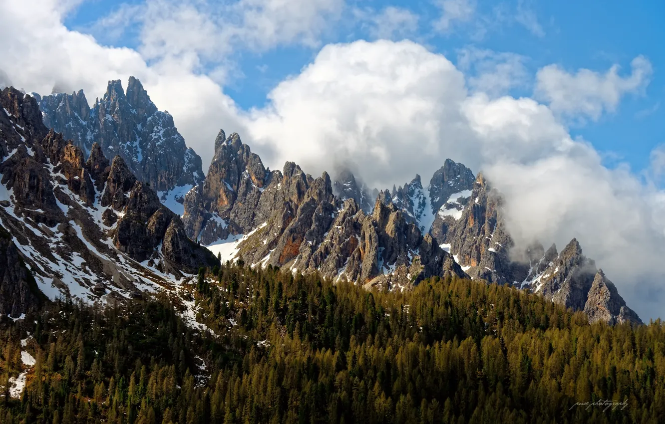 Photo wallpaper forest, the sky, clouds, mountains, rocks, spring, Italy, peaks