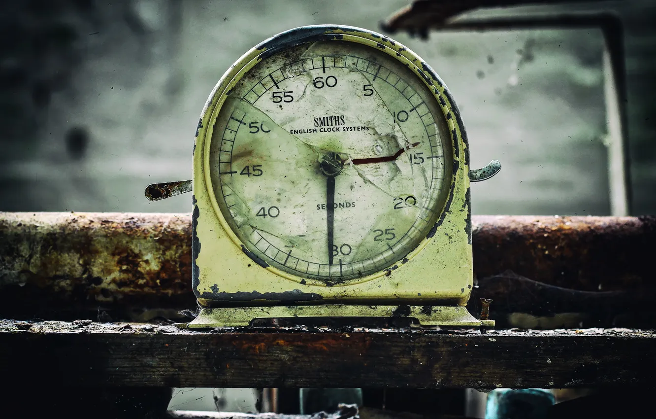 Photo wallpaper macro, background, watch