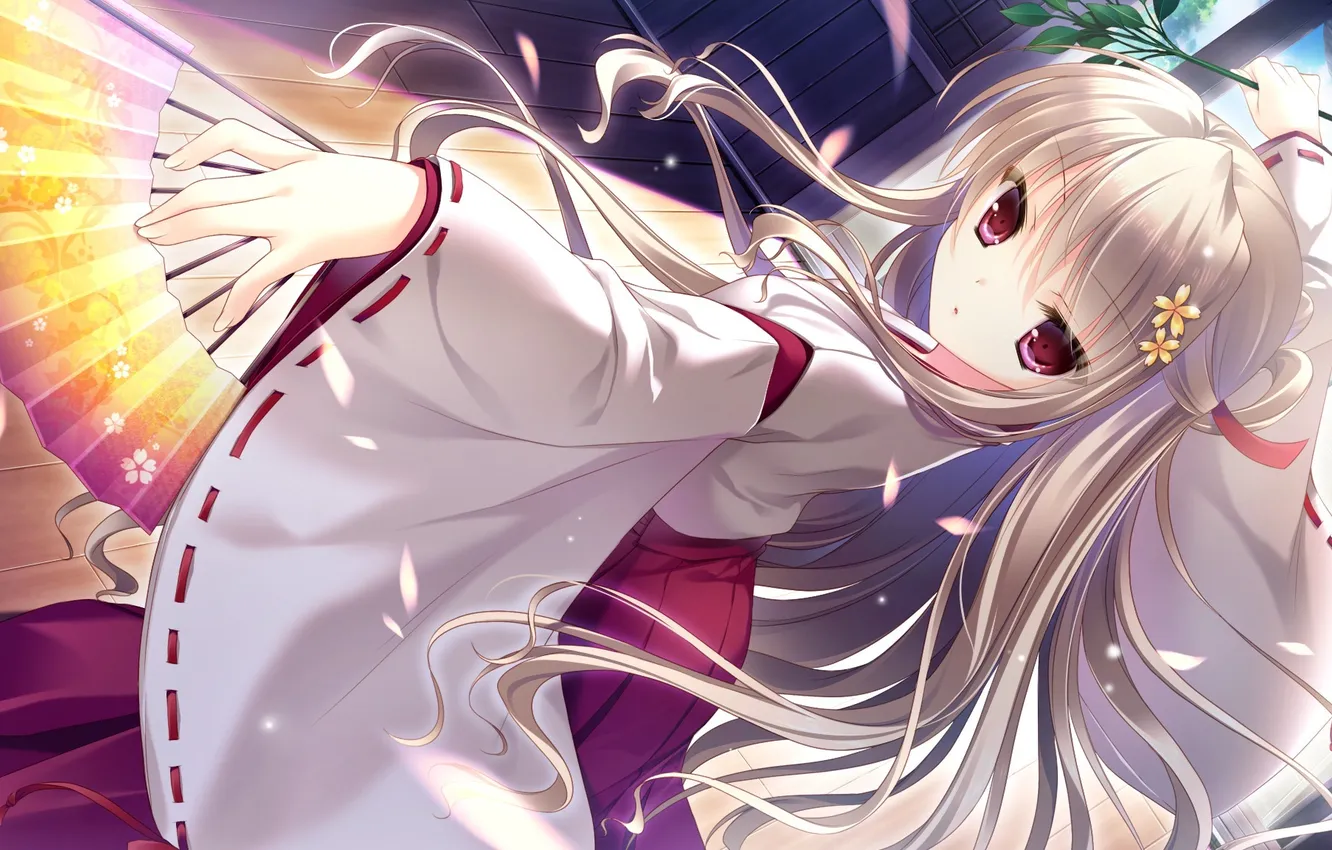 Photo wallpaper girl, branches, fan, yukie, nasuhara hinagiku, sora no hana, some E readers