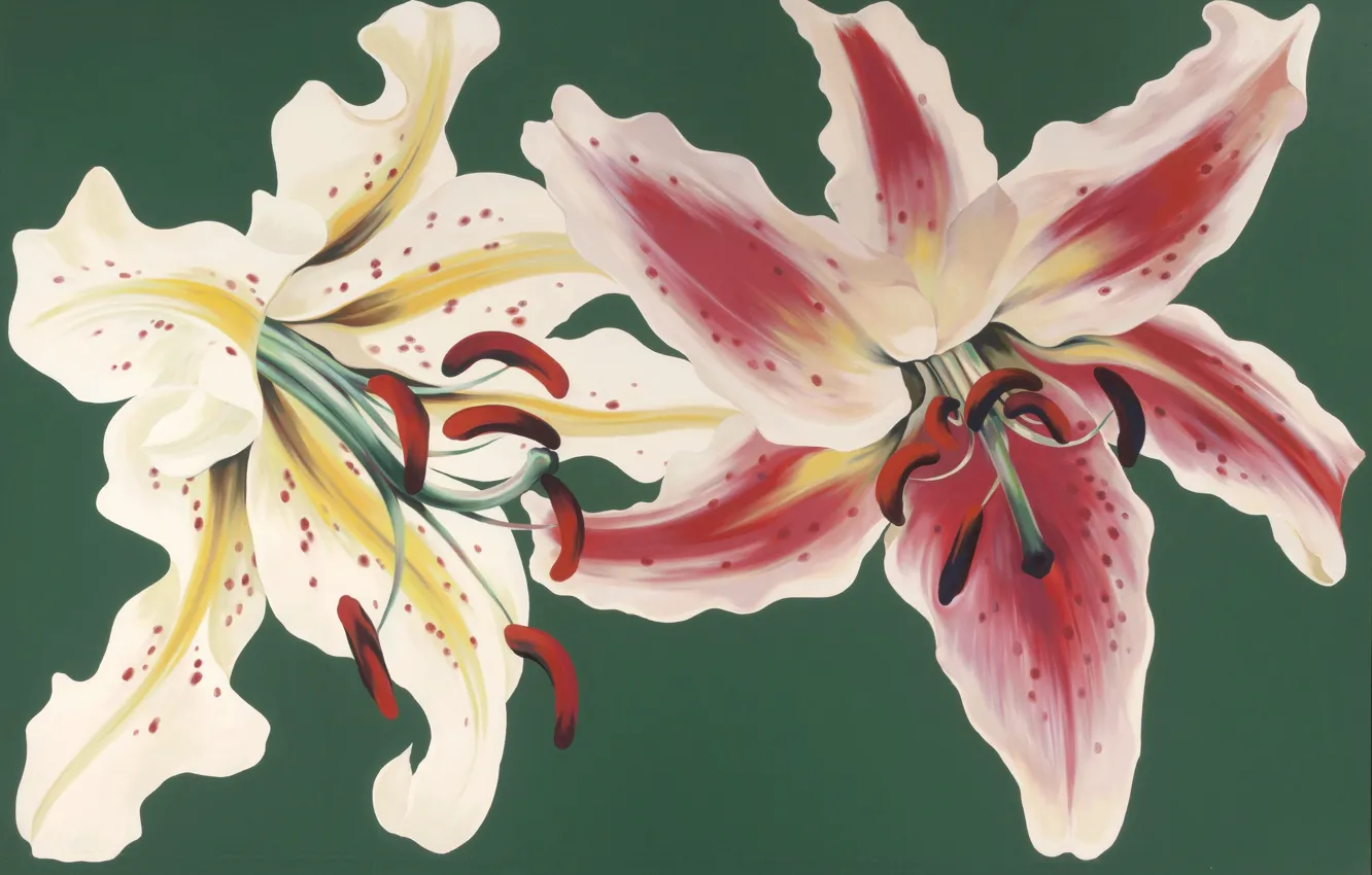 Photo wallpaper flowers, painting, Lowell Nesbitt