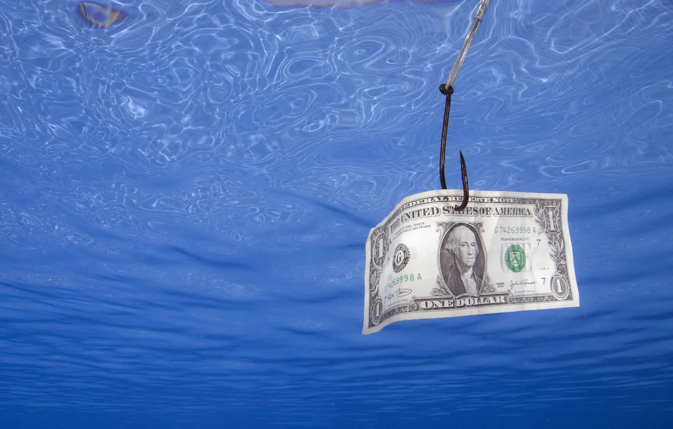 Photo wallpaper dollar, Money, fishing
