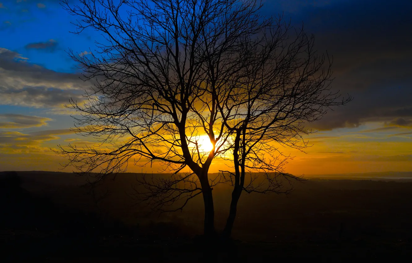Photo wallpaper the sky, the sun, clouds, sunset, mountains, nature, tree, silhouette