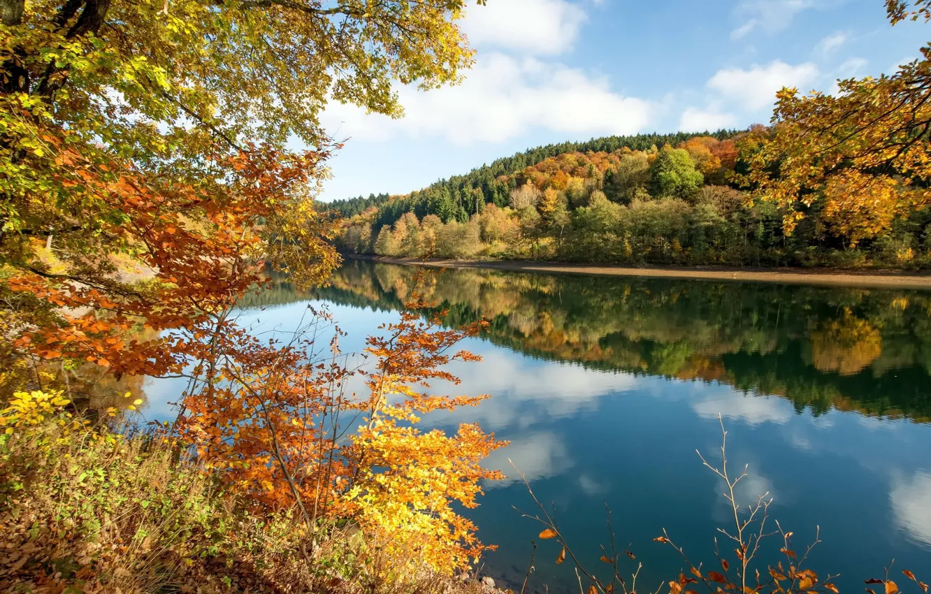 Photo wallpaper autumn, forest, the sky, landscape, nature, lake, beauty, yellow leaves