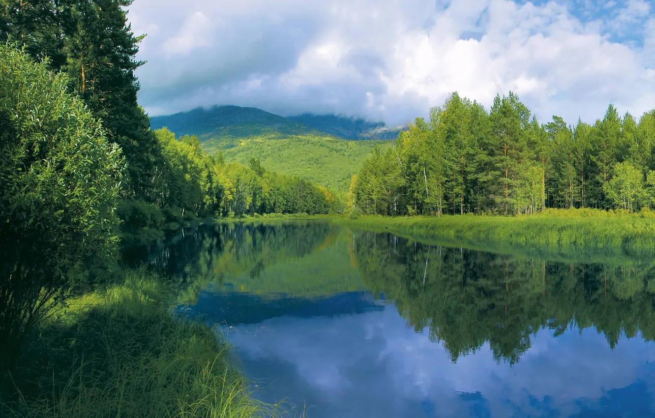 Photo wallpaper forest, the sky, grass, clouds, trees, landscape, nature, river