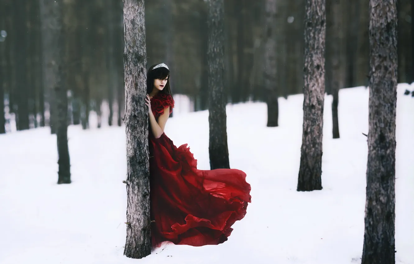 Photo wallpaper winter, forest, girl