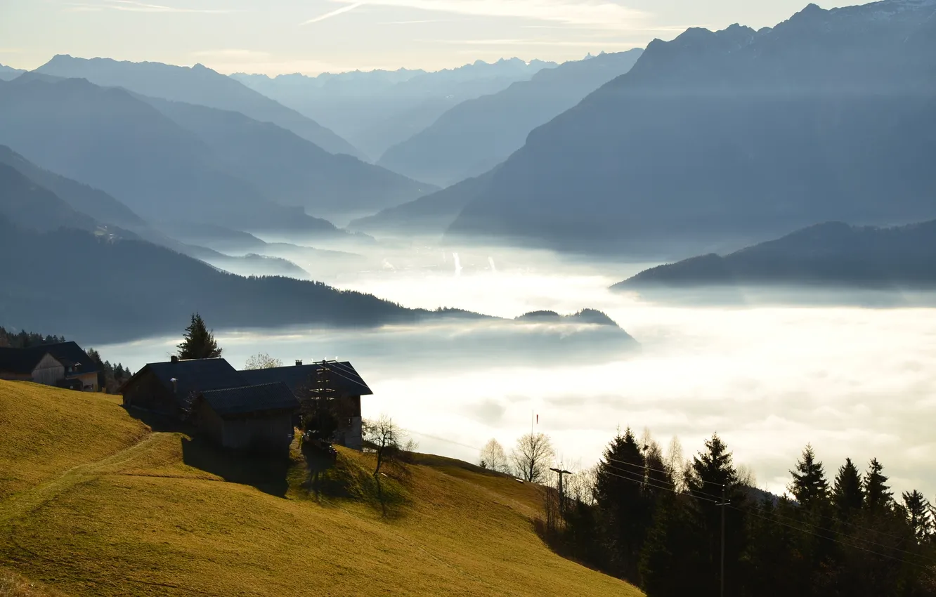 Photo wallpaper forest, mountains, fog, morning, house