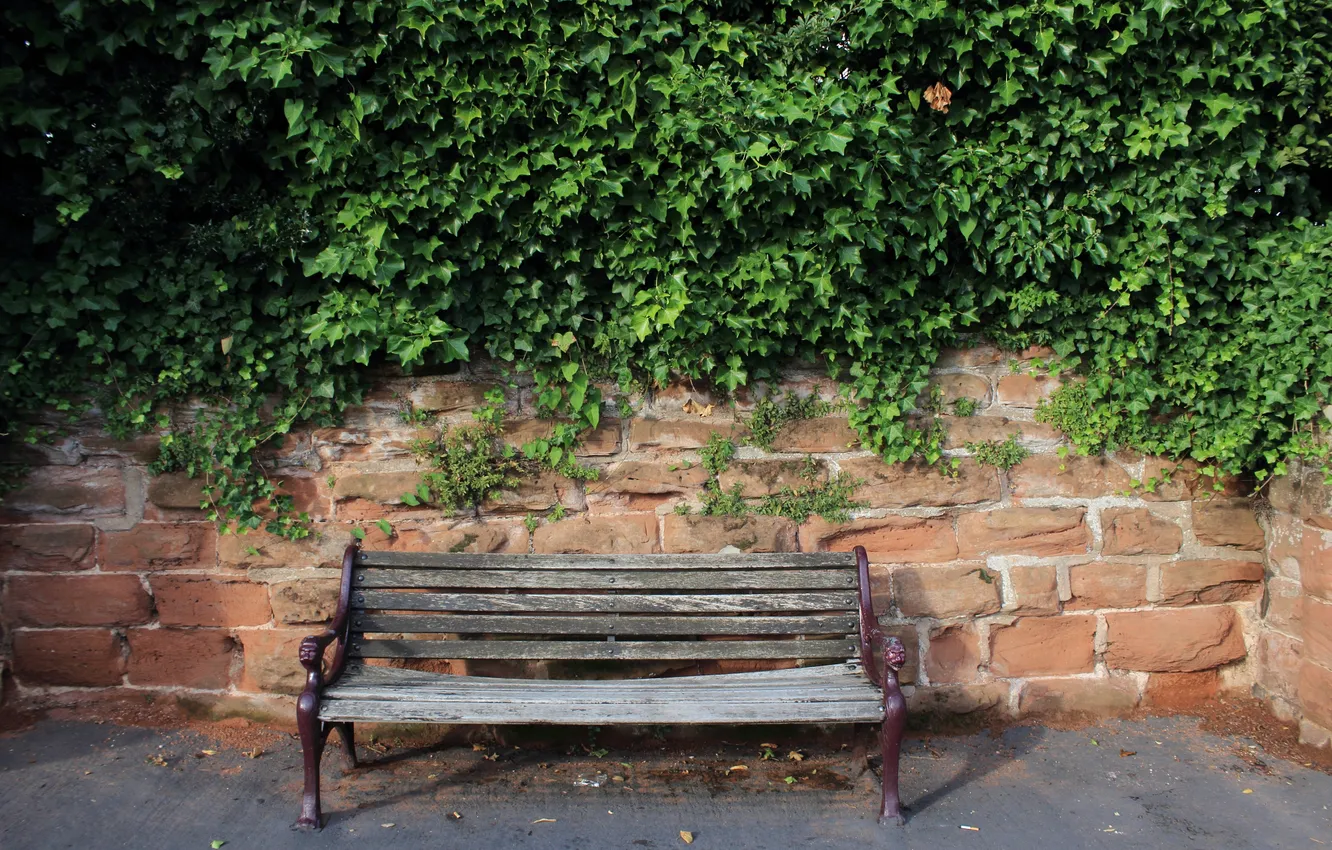 Photo wallpaper bench, street, bench