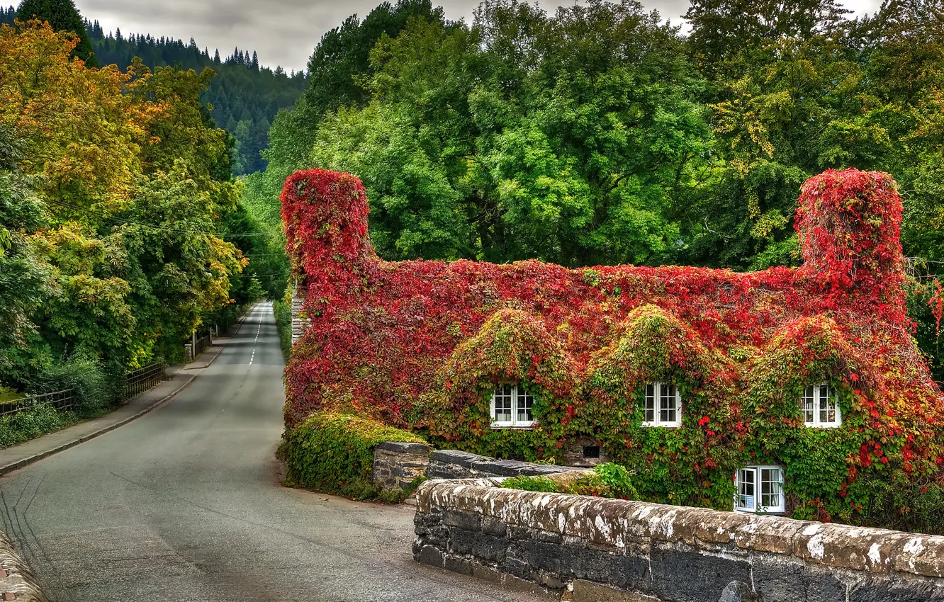 Photo wallpaper road, the sky, clouds, landscape, nature, view, home, colors