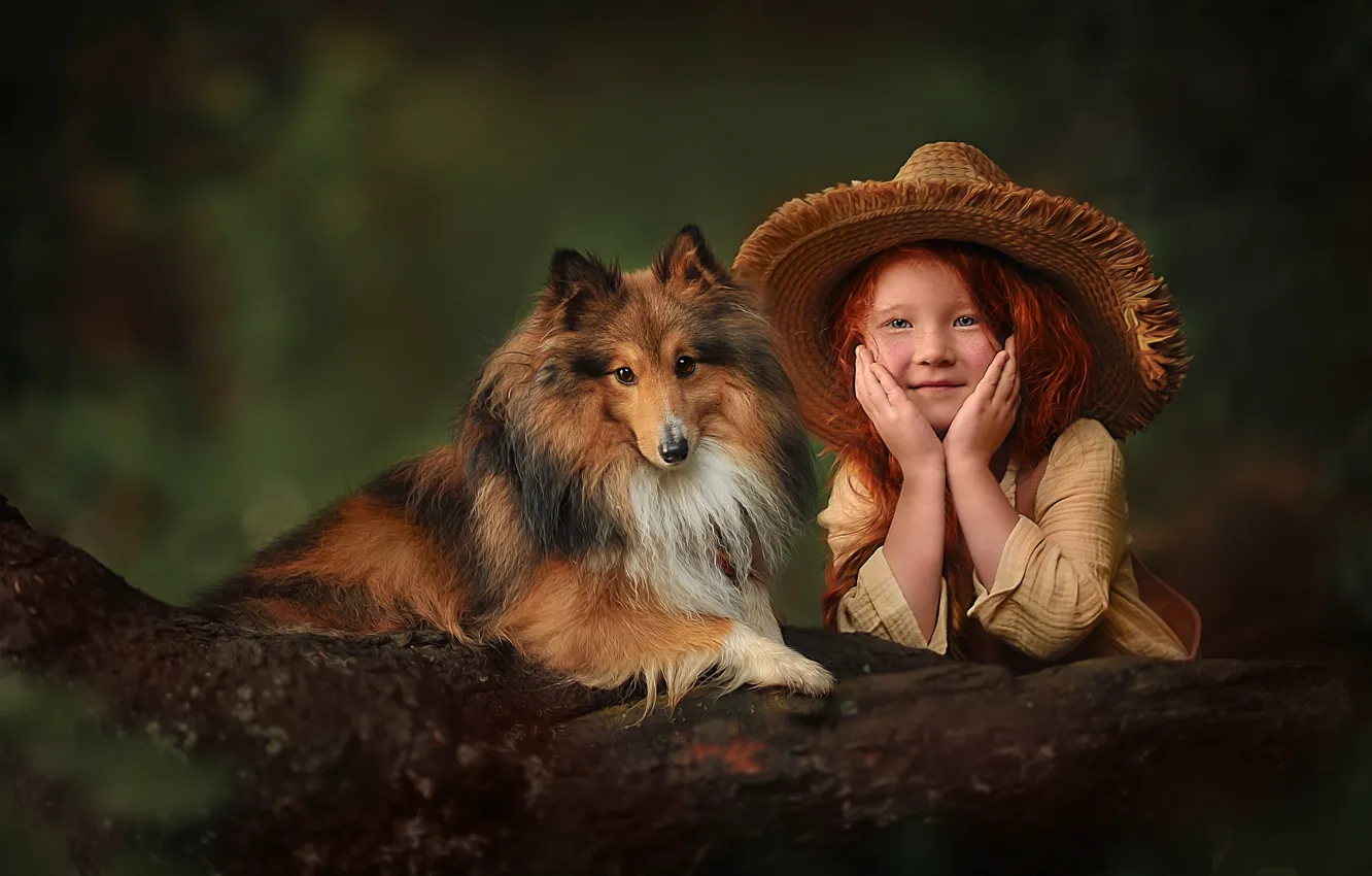 Photo wallpaper dog, hat, girl, red, log, redhead, Sheltie, Shetland Sheepdog