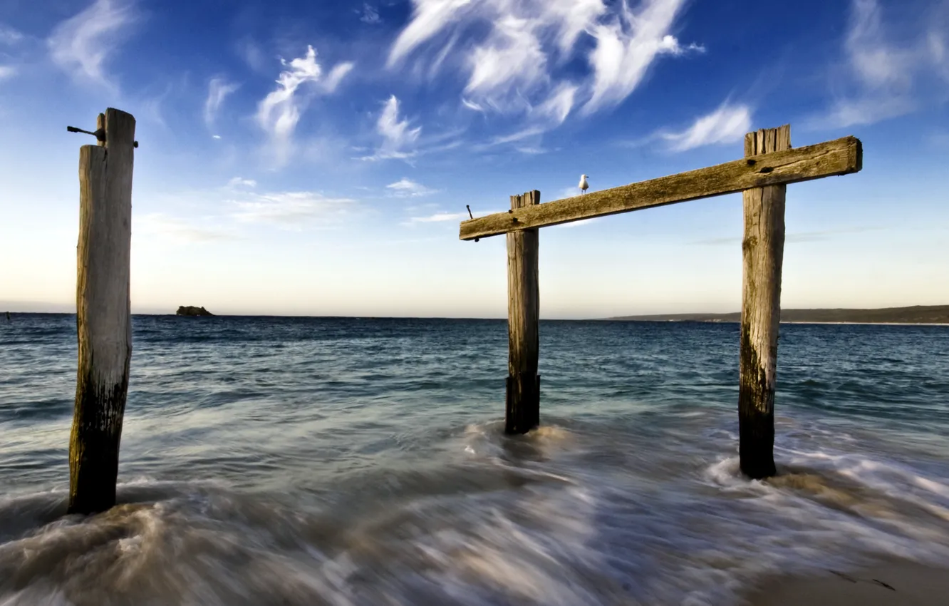 Photo wallpaper sea, trees, timber, the horizontal bar