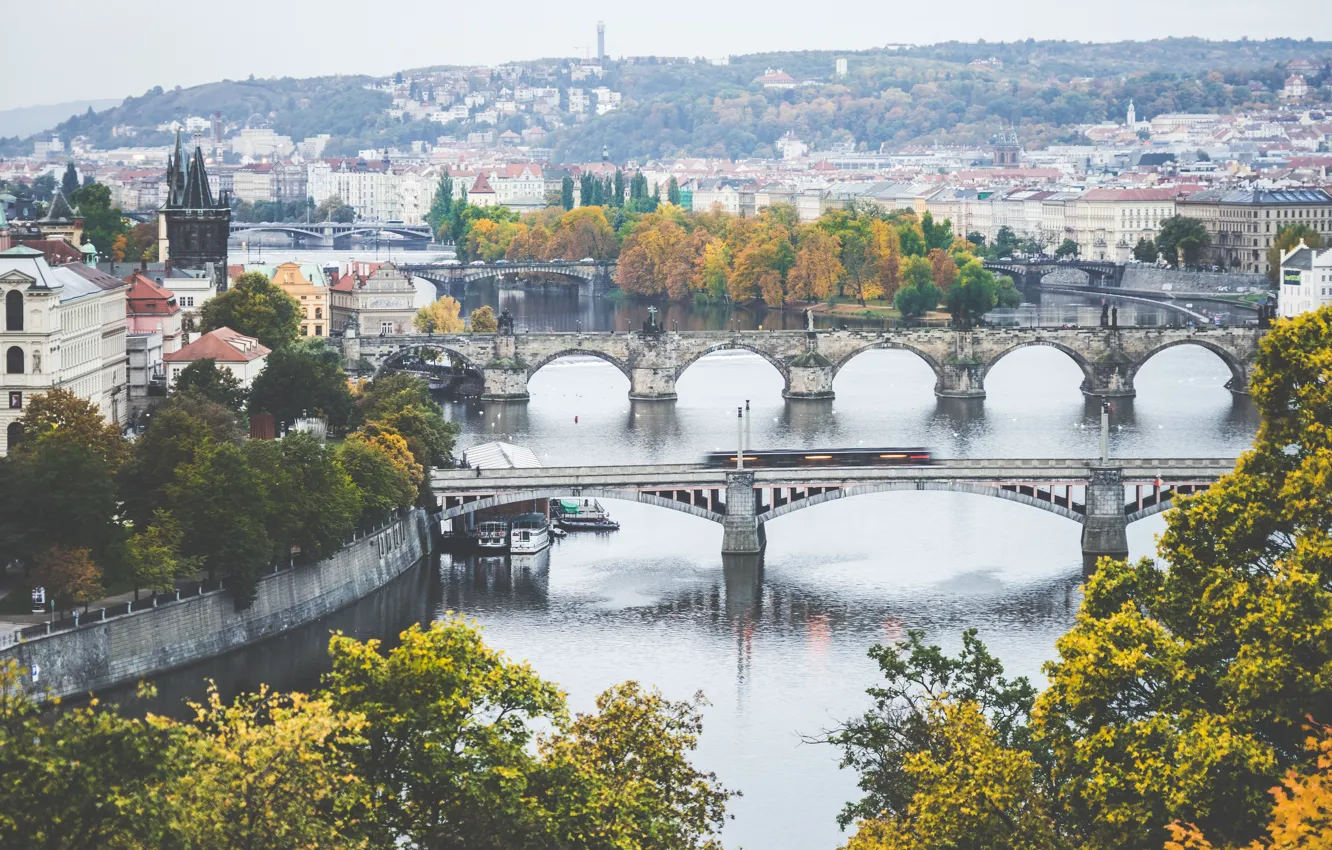 Photo wallpaper Prague, Czech Republic, Prague, Charles bridge, Czech Republic