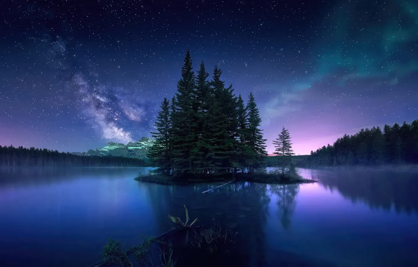 Photo wallpaper forest, the sky, stars, clouds, trees, landscape, mountains, night