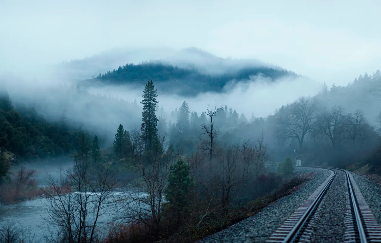 Photo wallpaper forest, landscape, mountains, nature, fog, lake, plant, valley