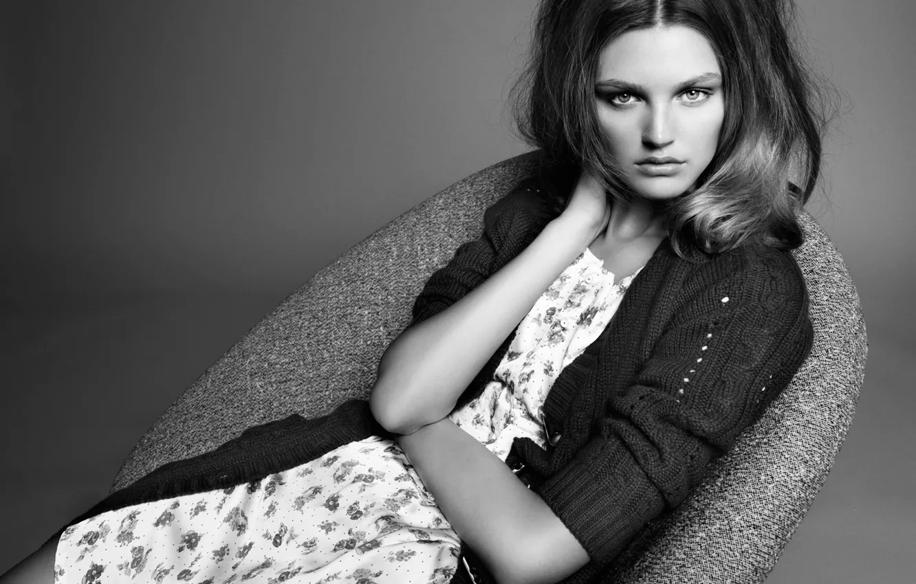 Photo wallpaper look, girl, model, hair, black and white, Ali Stephens, Ali Stevens