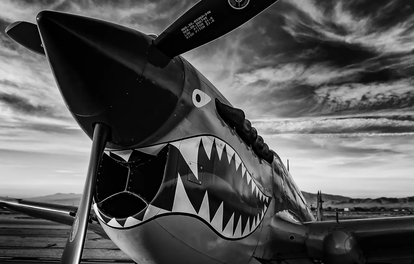 Photo wallpaper fighter, mouth, fangs, propeller