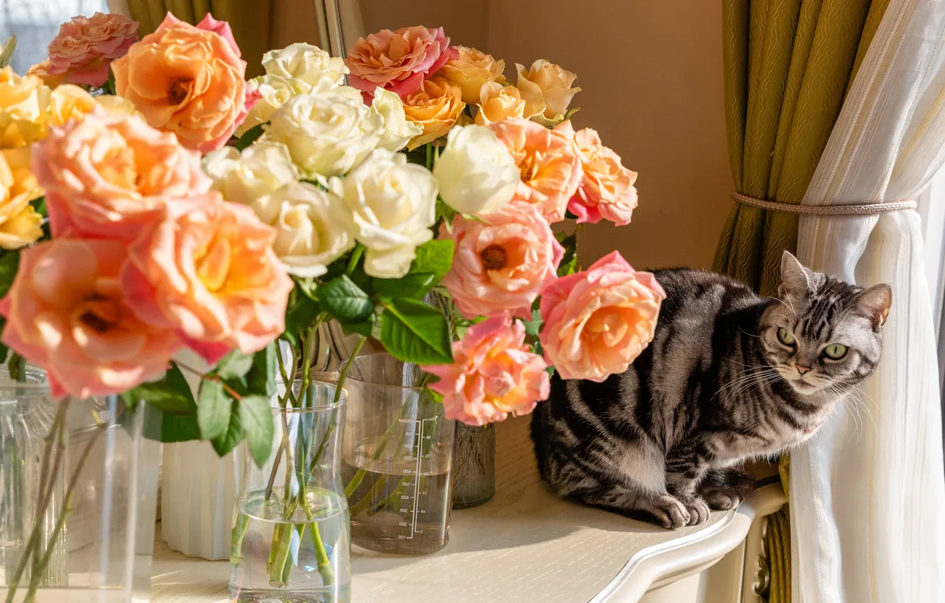 Photo wallpaper cat, cat, look, light, flowers, orange, glass, pose