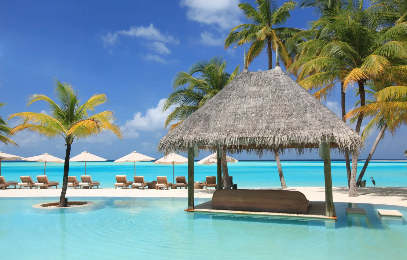Photo wallpaper palm trees, the ocean, stay, pool, relax, exotic