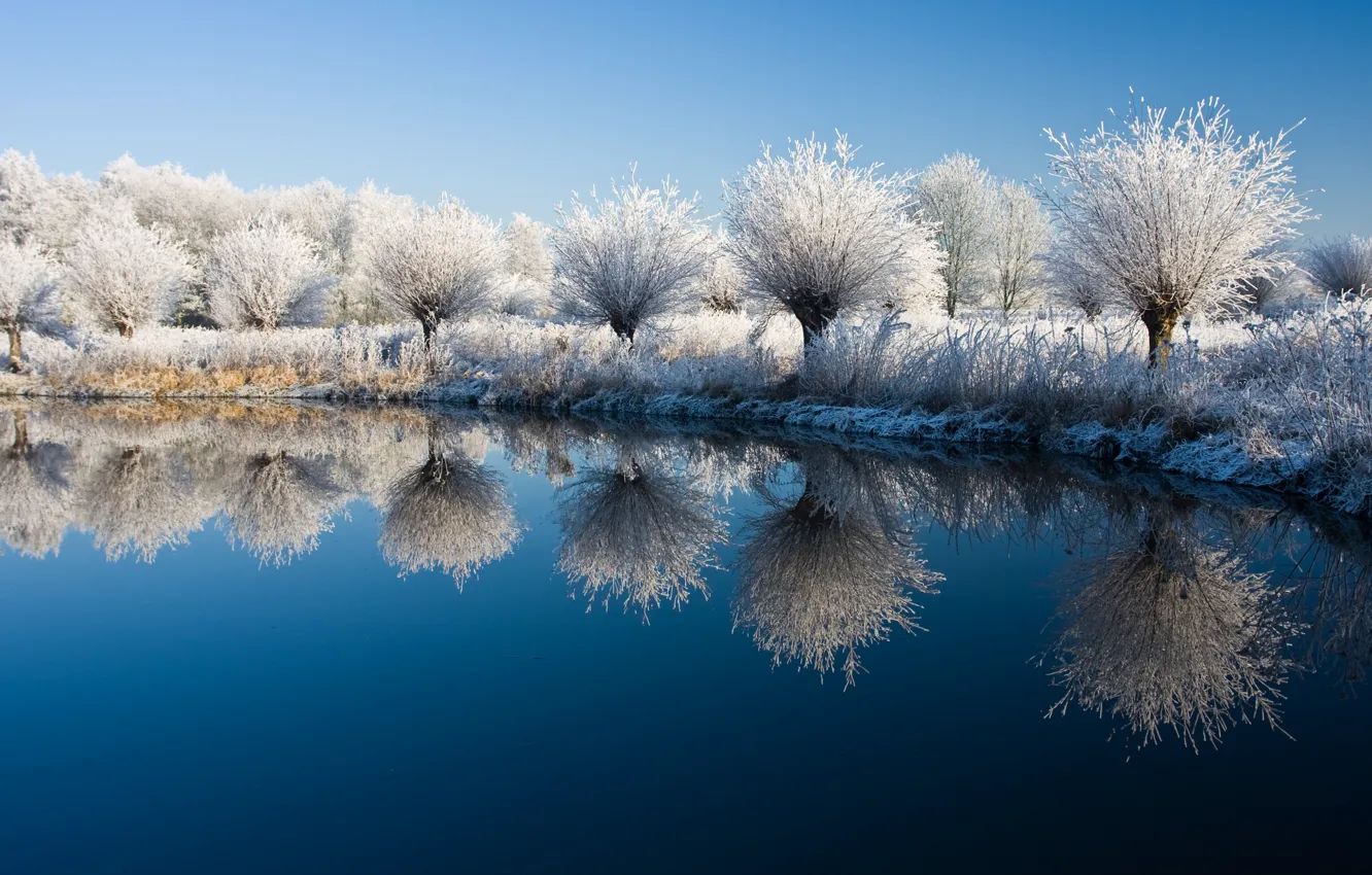 Photo wallpaper trees, landscape, nature, lake, plant, the bushes, shrub, winter water