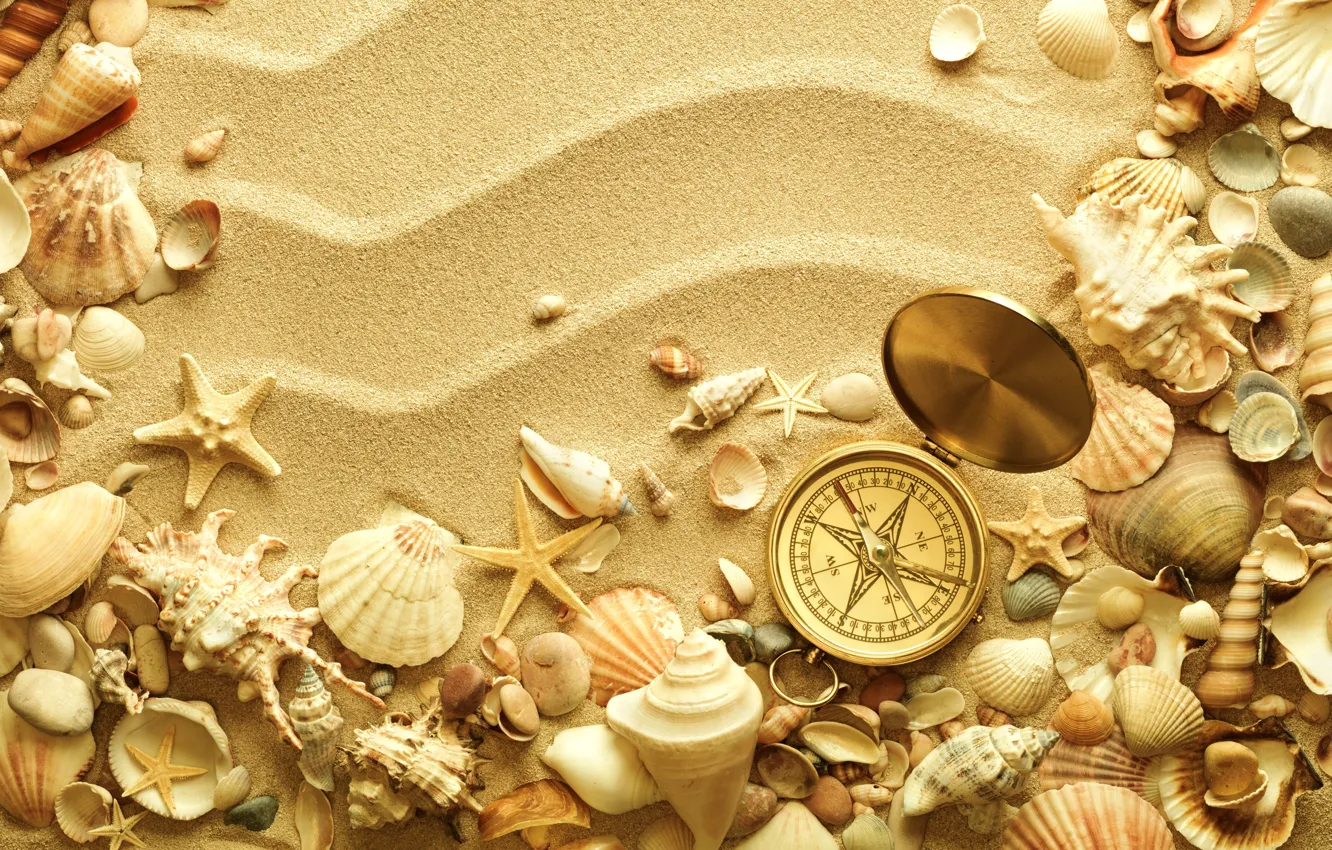 Photo wallpaper sand, space, shell, shell, starfish