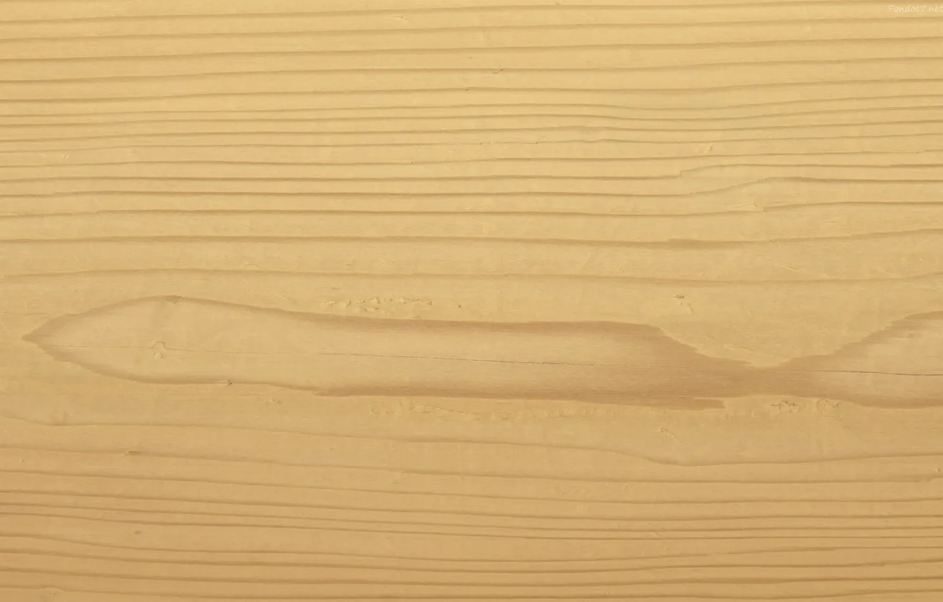 Photo wallpaper line, tree, Board, texture