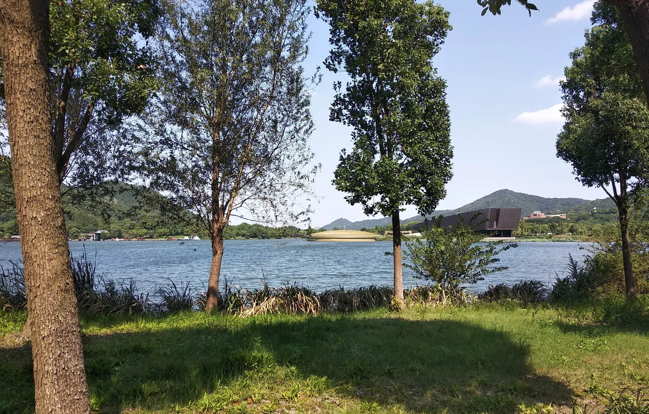 Photo wallpaper lake, tree, shadow