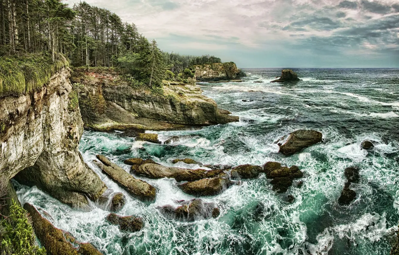 Photo wallpaper sea, trees, rocks, coast