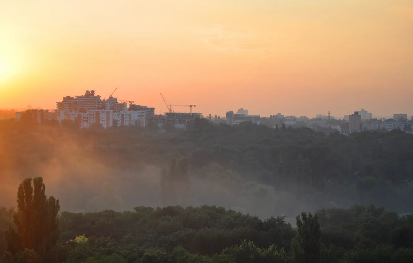 Photo wallpaper the sky, rays, trees, sunset, orange, the city, fog, Park