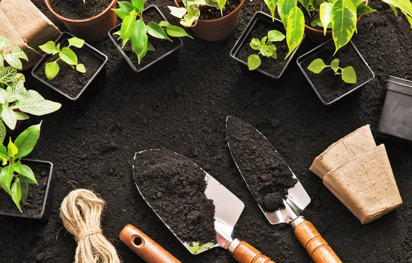 Photo wallpaper plants, tools, Gardening, sparks, soil
