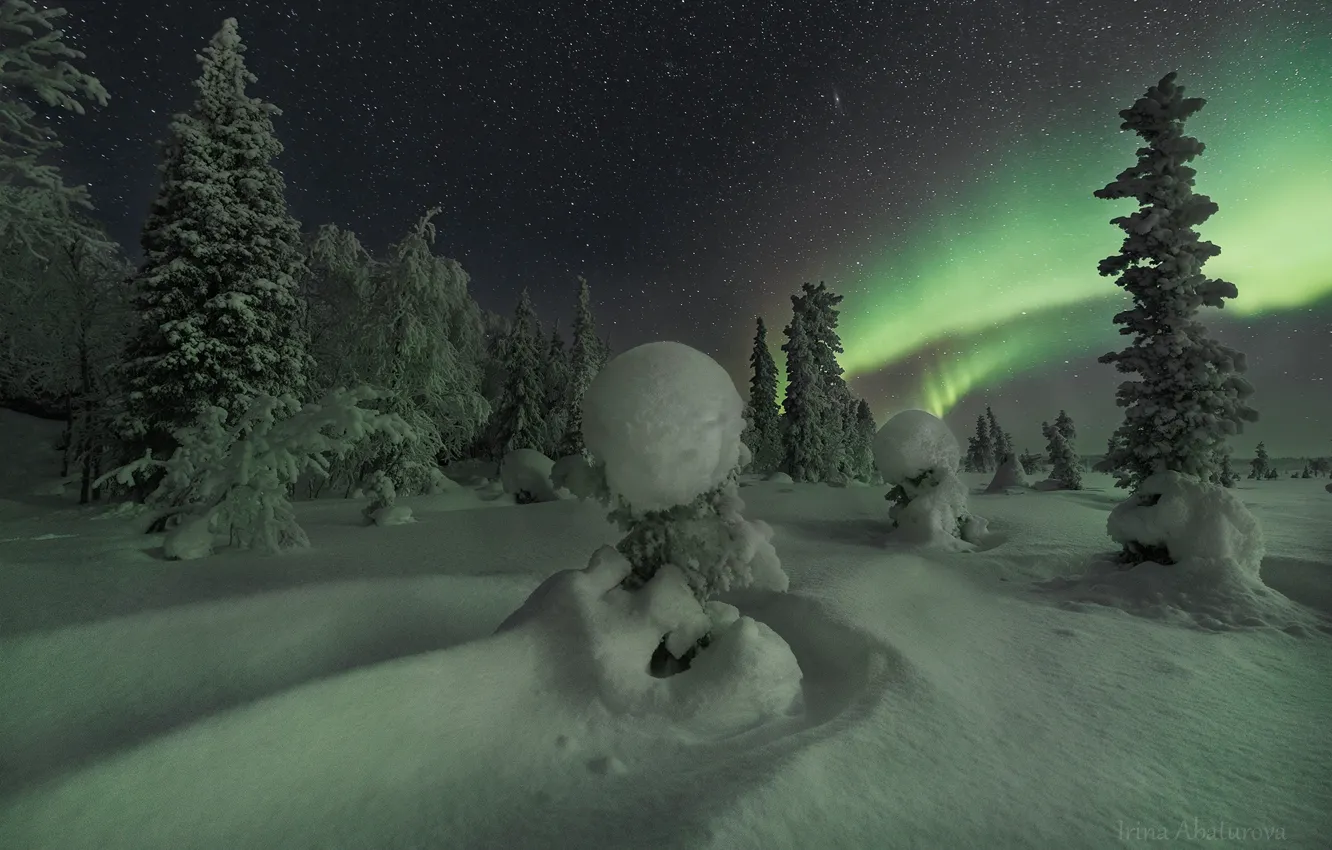 Photo wallpaper winter, trees, landscape, night, nature, Northern lights, ate, The Kola Peninsula