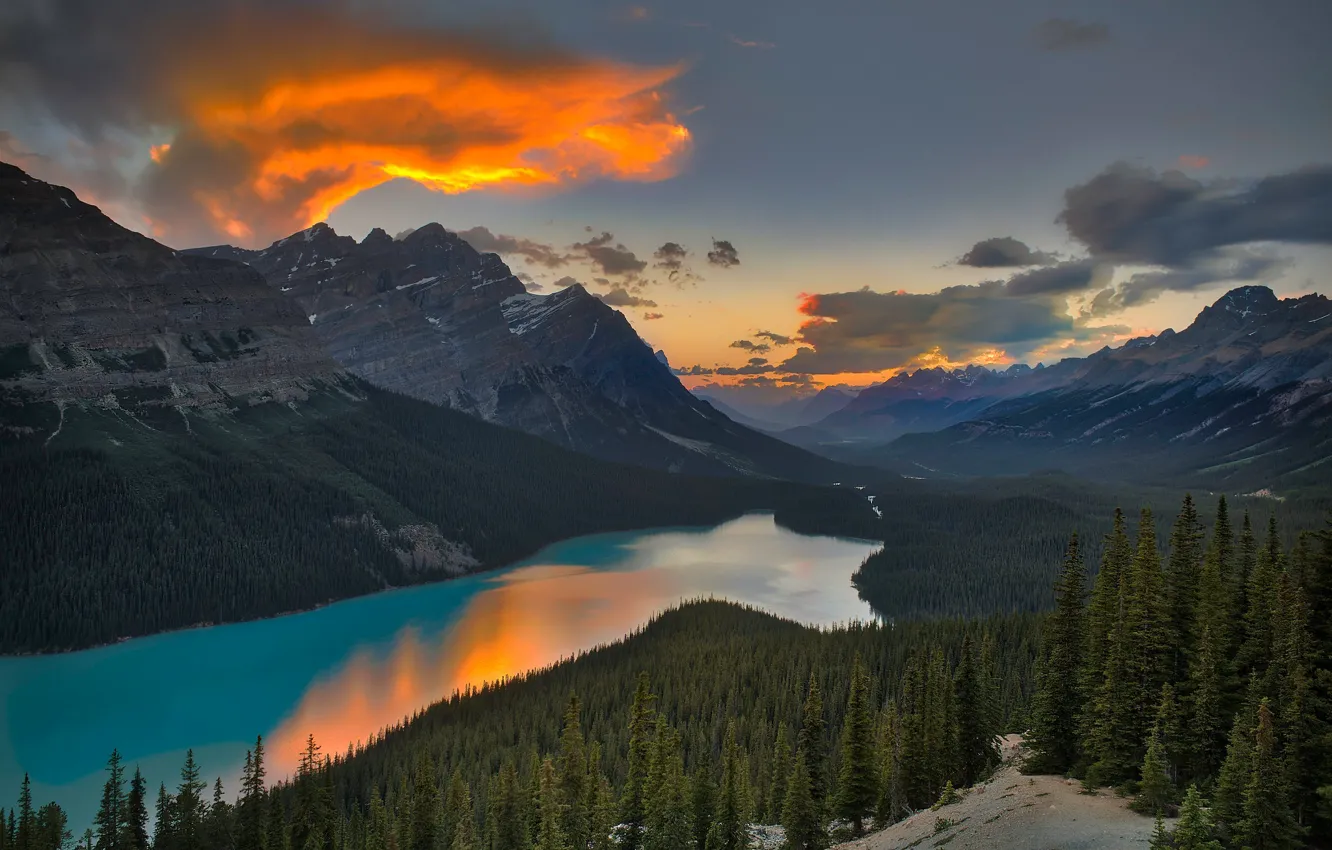 Photo wallpaper forest, mountains, Canada, Albert, pond