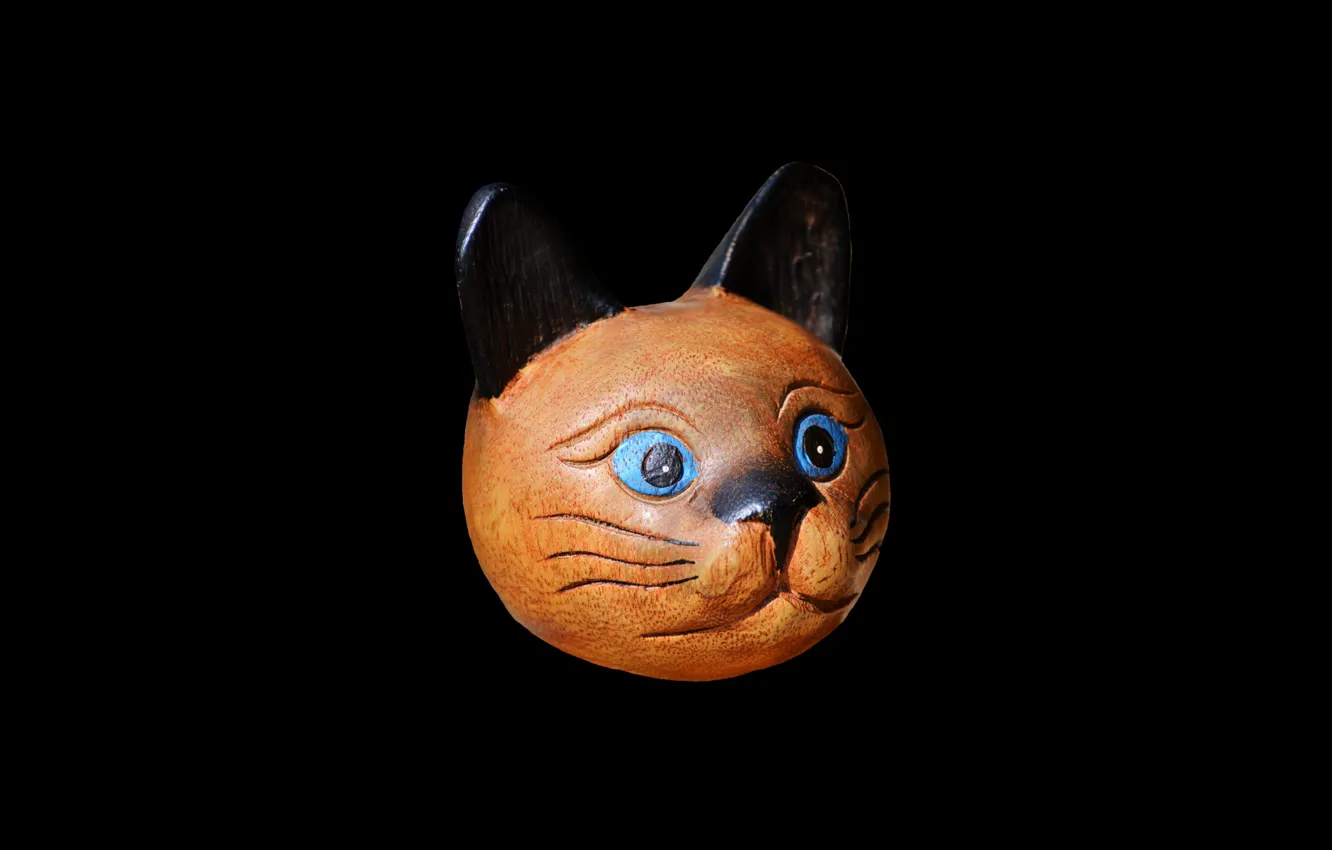 Photo wallpaper black background, wooden, the face of a cat