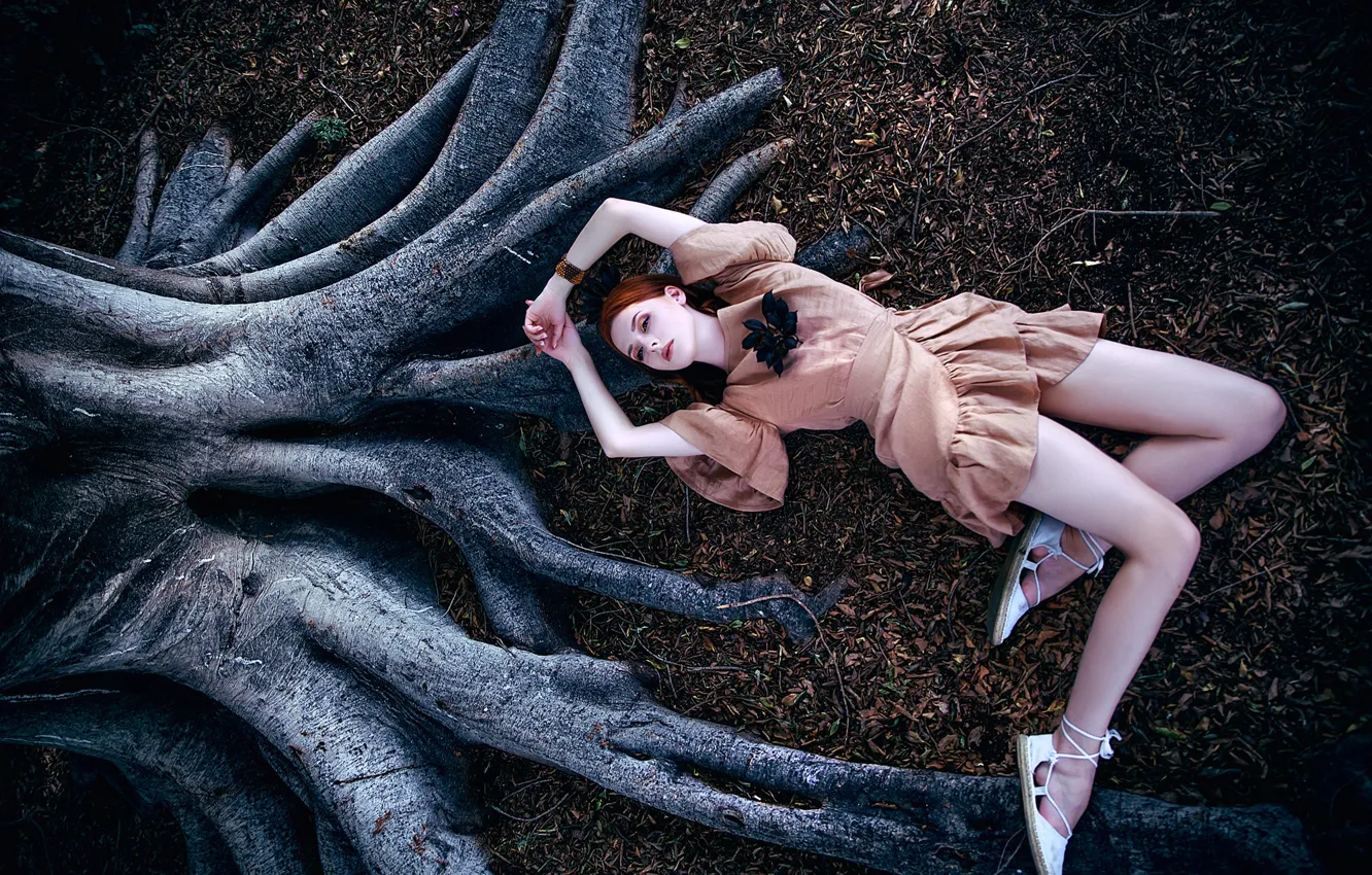 Photo wallpaper girl, trees, roots, pose, model, portrait, makeup, dress