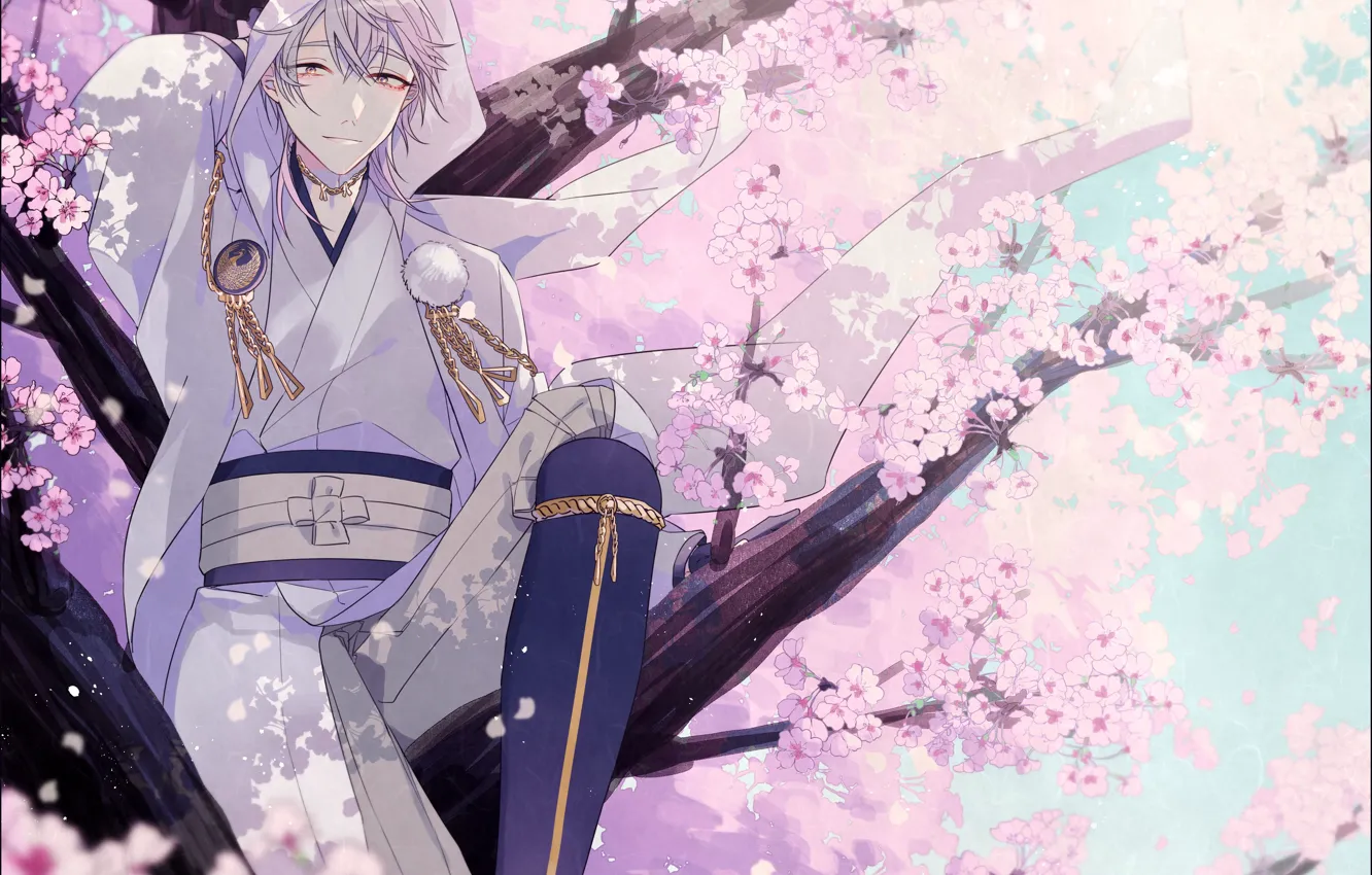Photo wallpaper spring, Sakura, guy, Touken Ranbu, Dance of swords