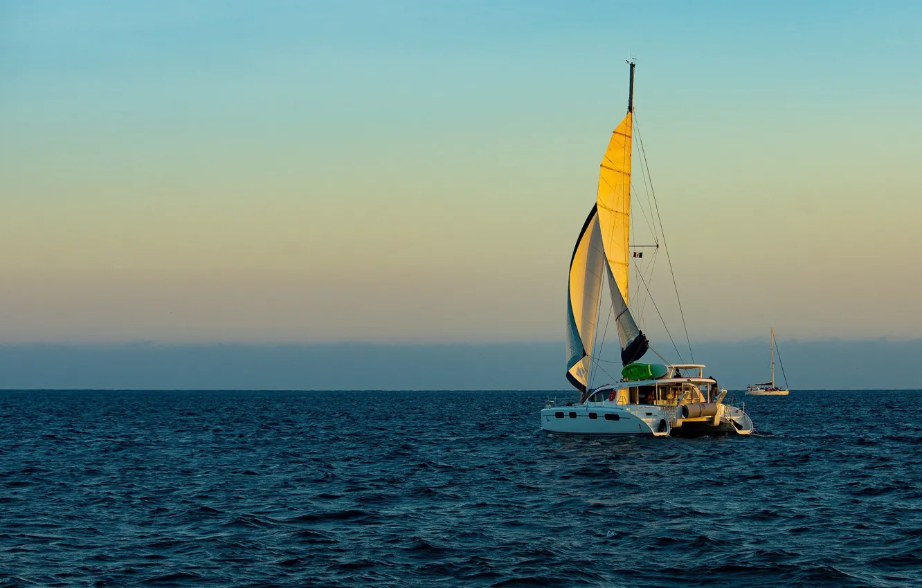 Photo wallpaper sail, boat, morning, fog, catamaran, sea, haze, the sun