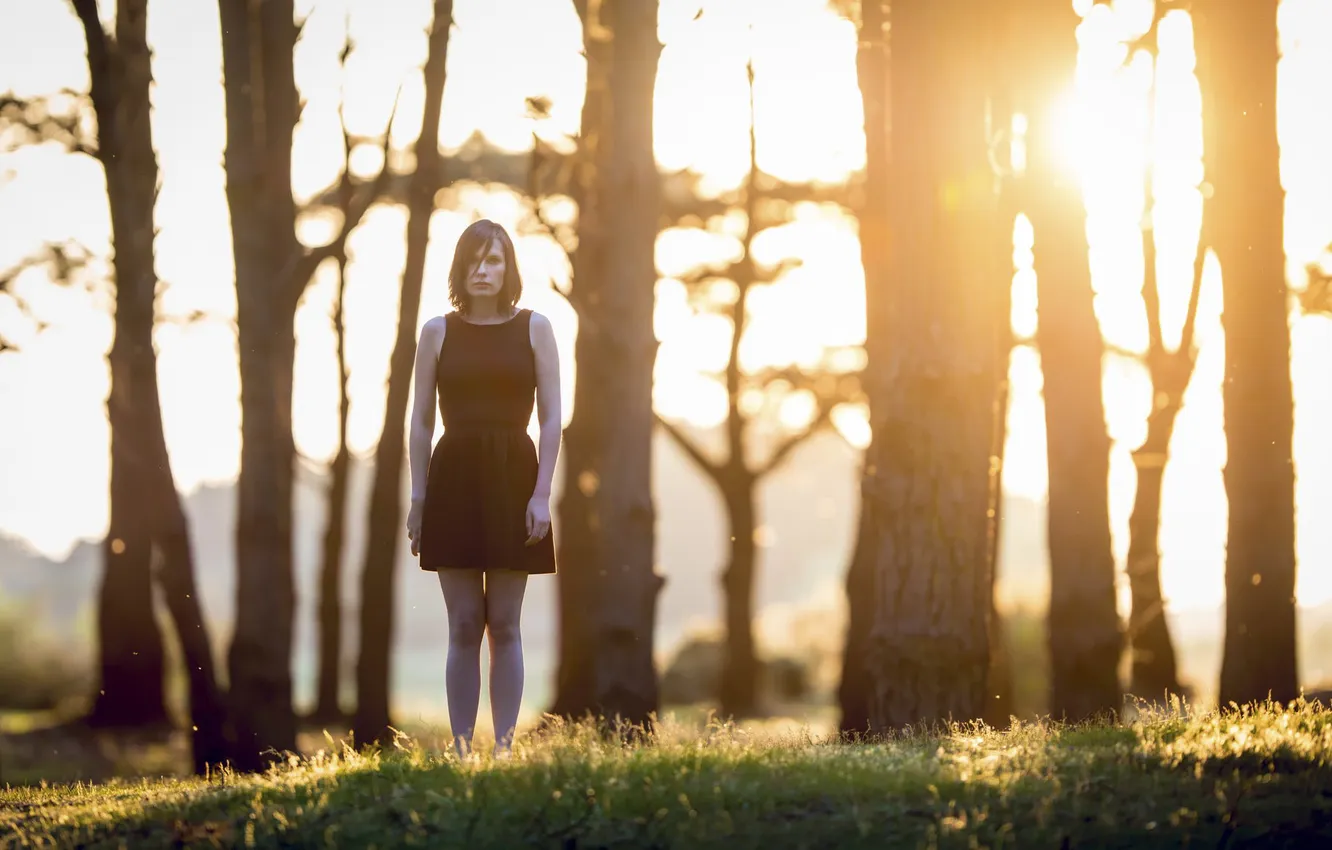 Photo wallpaper girl, trees, loneliness, sunlight