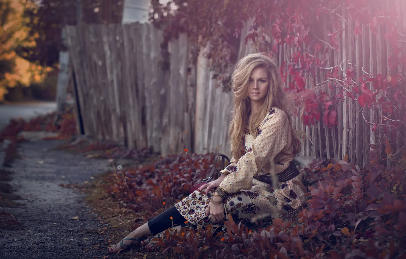 Photo wallpaper autumn, leaves, girl, sweetheart, sitting, blonde, dress, from the road