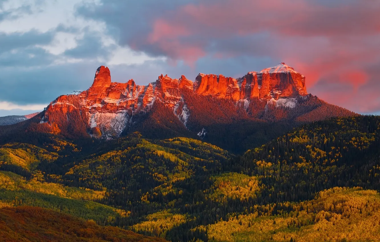 Photo wallpaper forest, light, snow, trees, sunset, mountains