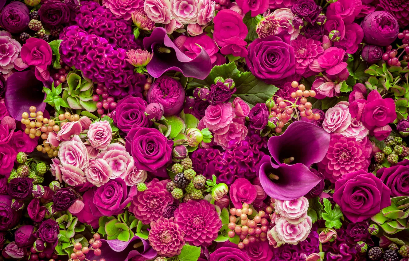 Photo wallpaper flowers, roses, pink, buds, pink, flowers, beautiful, romantic