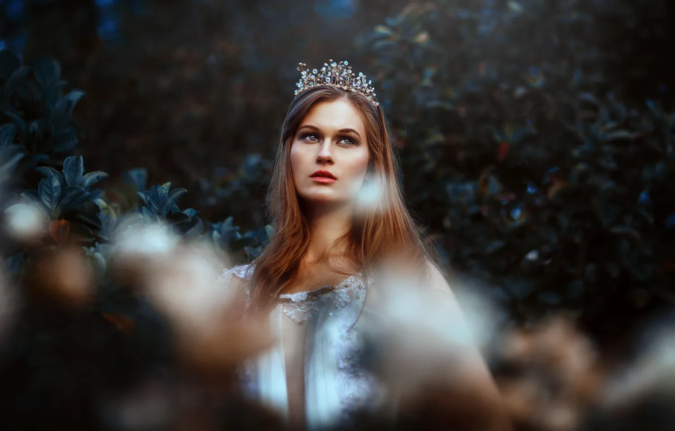 Photo wallpaper girl, face, background, crown, beauty